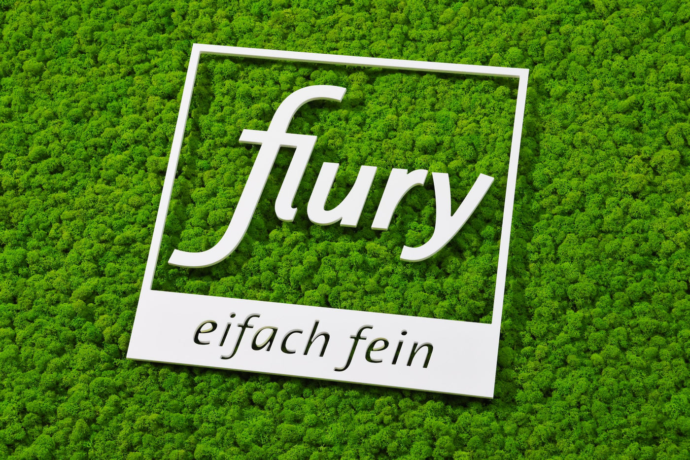 Feature Bild: Islandmoosbild mit Firmenlogo und dem Slogan Eifach Fein für die Flury AG