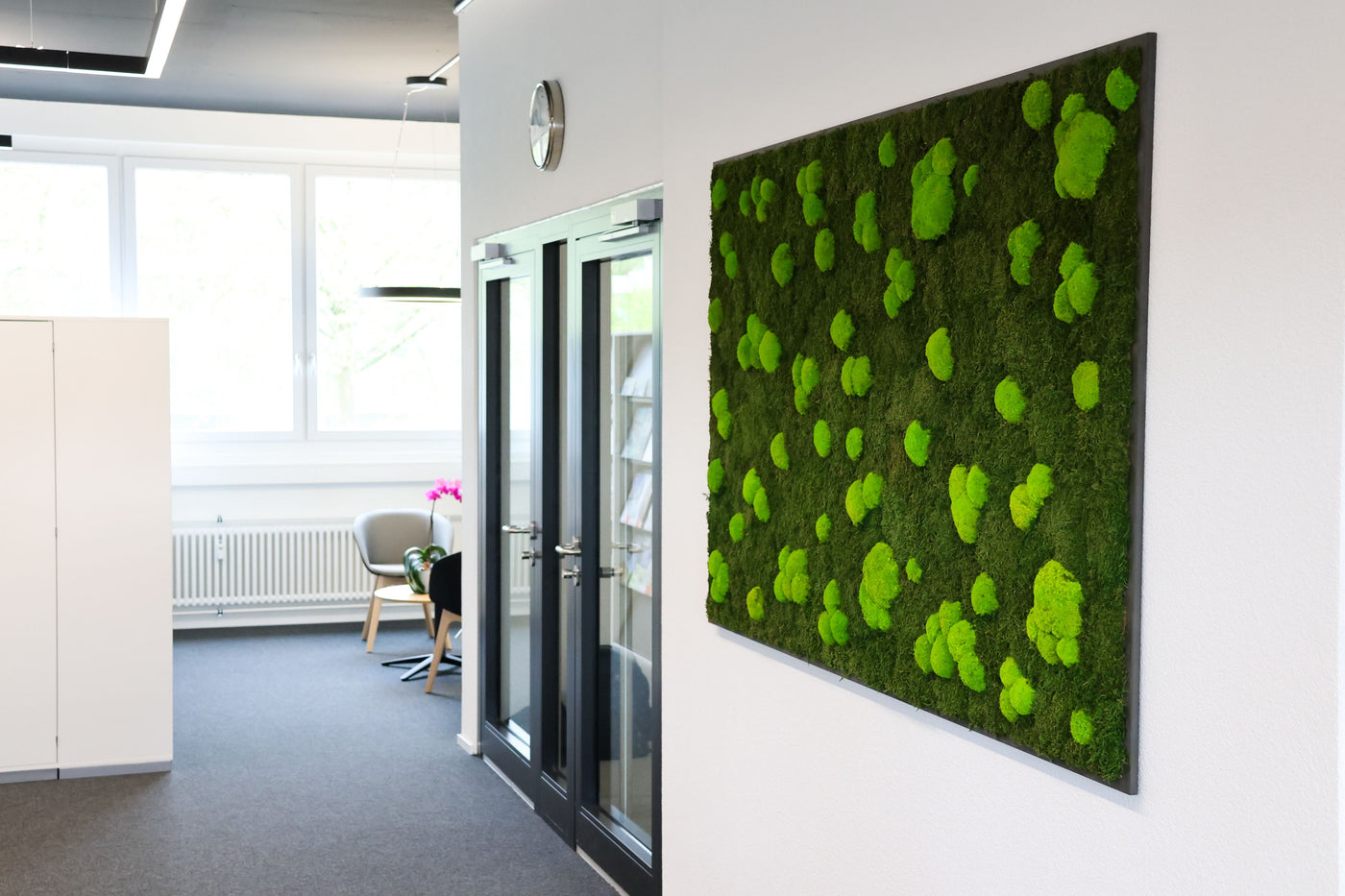 Feature Bild: Wald-Kugelmoosbild im Büro der Tecton AG