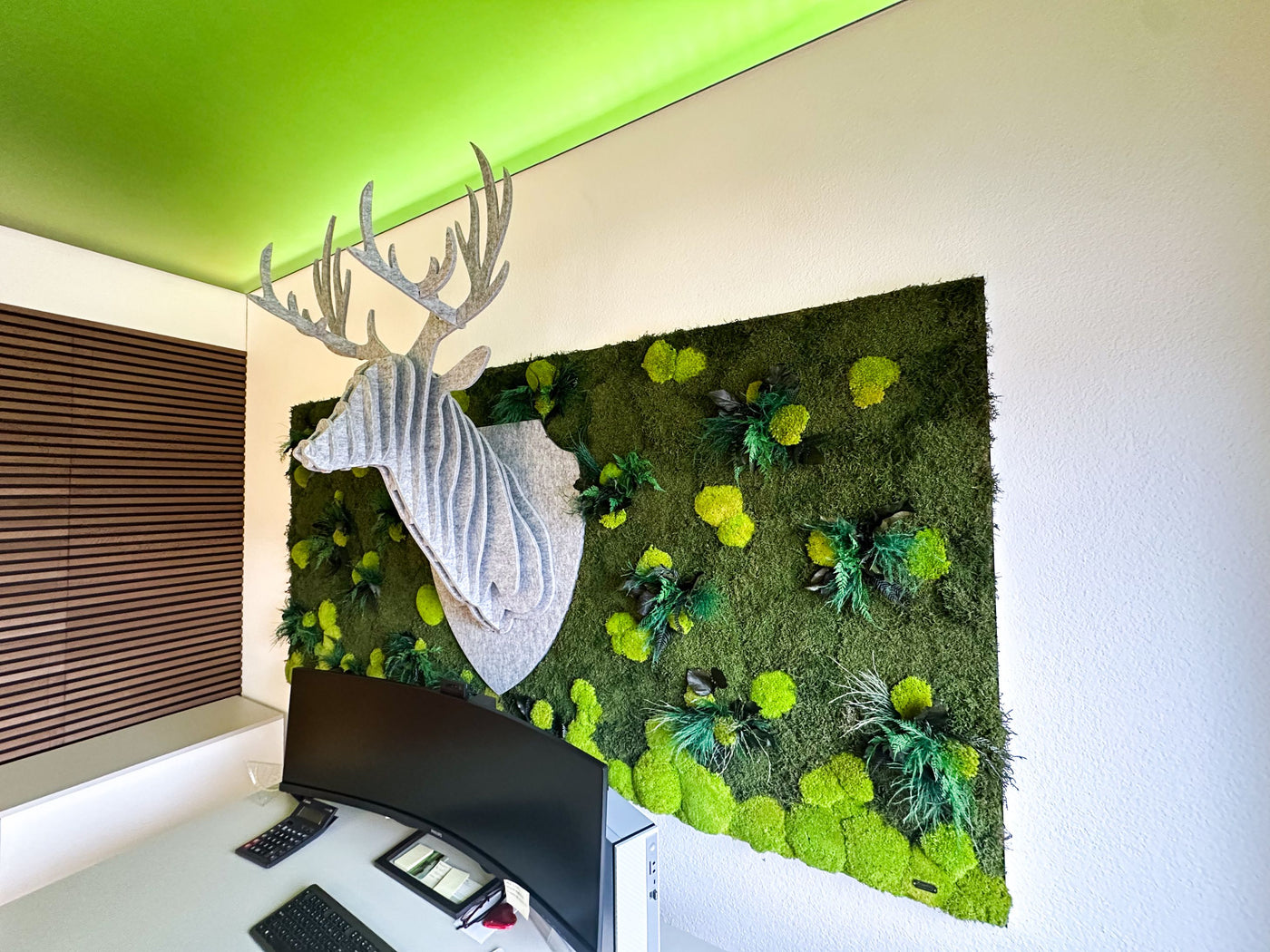 Feature Bild: Wald-Kugelmoosbild mit exotischen Pflanzenblättern und Hirschkopf integriert im Büro der Art-Montagen GmbH