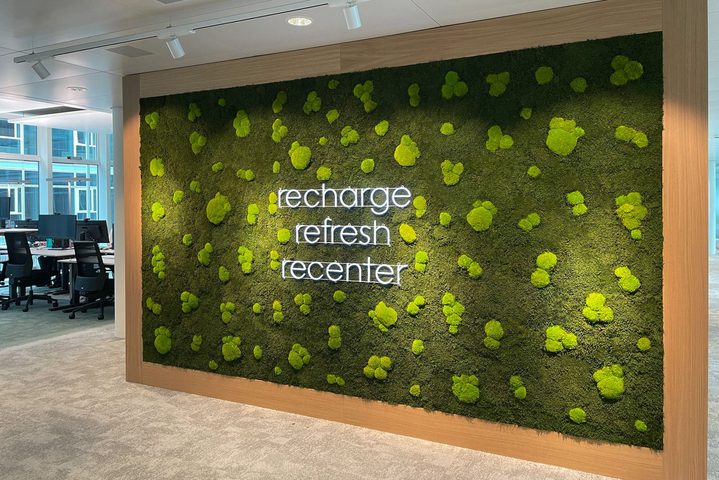 Feature Bild: Wald-Kugelmooswand mit Motto recharge referesh recenter integriert im Büro der Aveniq AG